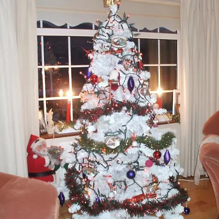 Strand's End House Only, No Breakfast Served 3* Cahersiveen