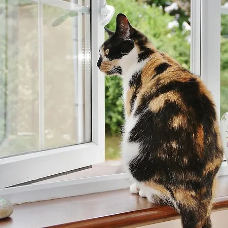 Strand's End House Only, No Breakfast Served Pensjonat 3*