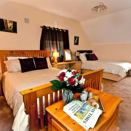 Strand's End House Only, No Breakfast Served 3* Cahersiveen