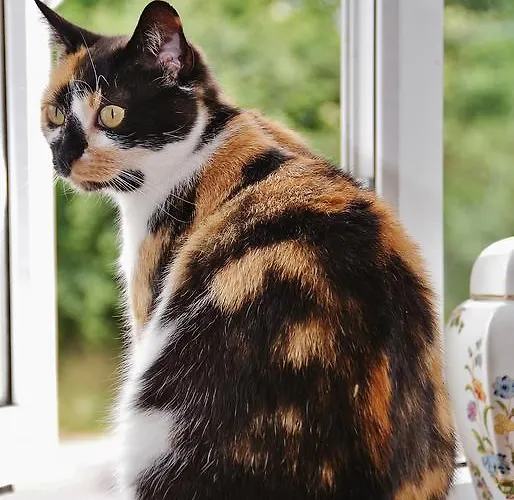 Strand's End House Only, No Breakfast Served Cahersiveen