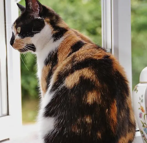 Strand's End House Only, No Breakfast Served 3*