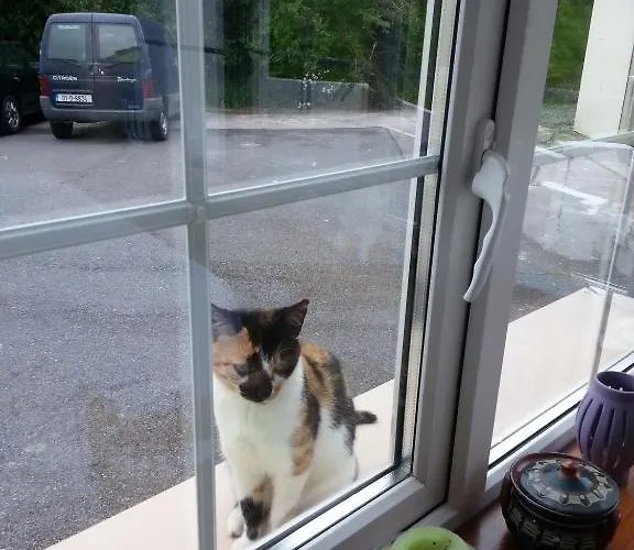 Strand's End House Only, No Breakfast Served Cahersiveen